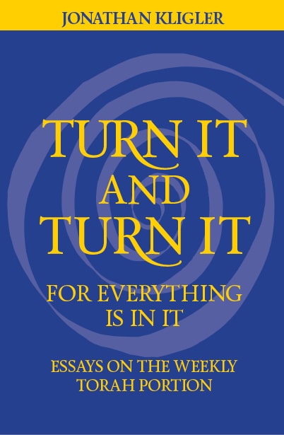 Turn It and Turn It for Everything Is in It: Essays on the Weekly Torah Portion | rabbijonathankligler.com